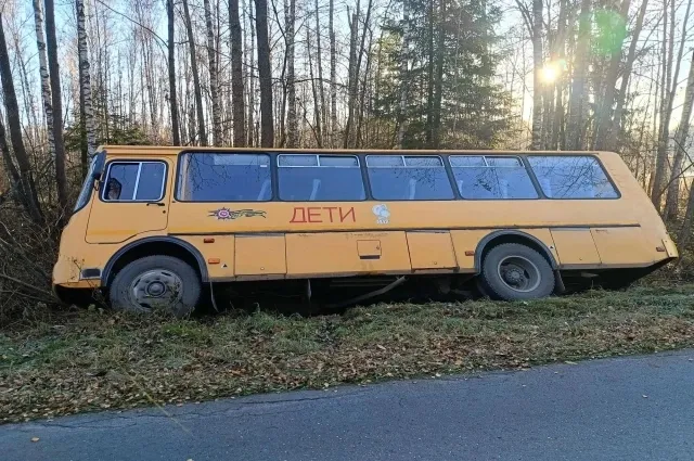 Школьный автобус съехал в кювет в Петушинском районе