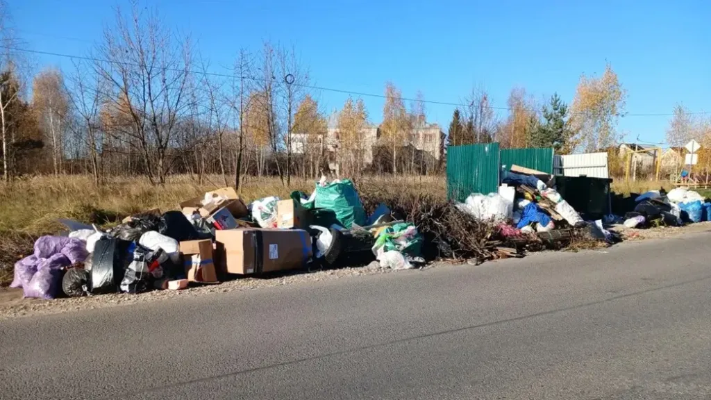 Жители Владимира жалуются на горы мусора у новой контейнерной площадки