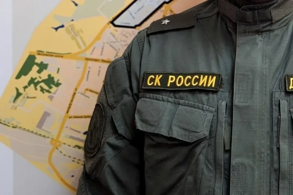 В Судогде мужчина предстанет перед судом за ДТП из-за телефона