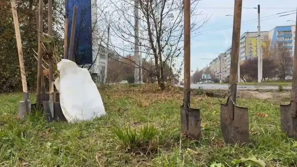 Во Владимире школьники посадили каштановую аллею в честь Александра Невского