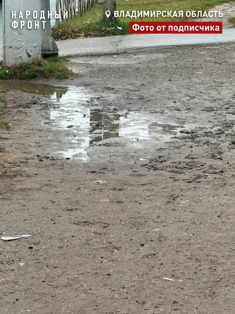 Мэрия Владимира пообещала заасфальтировать подход к остановке «Парк Дружба»